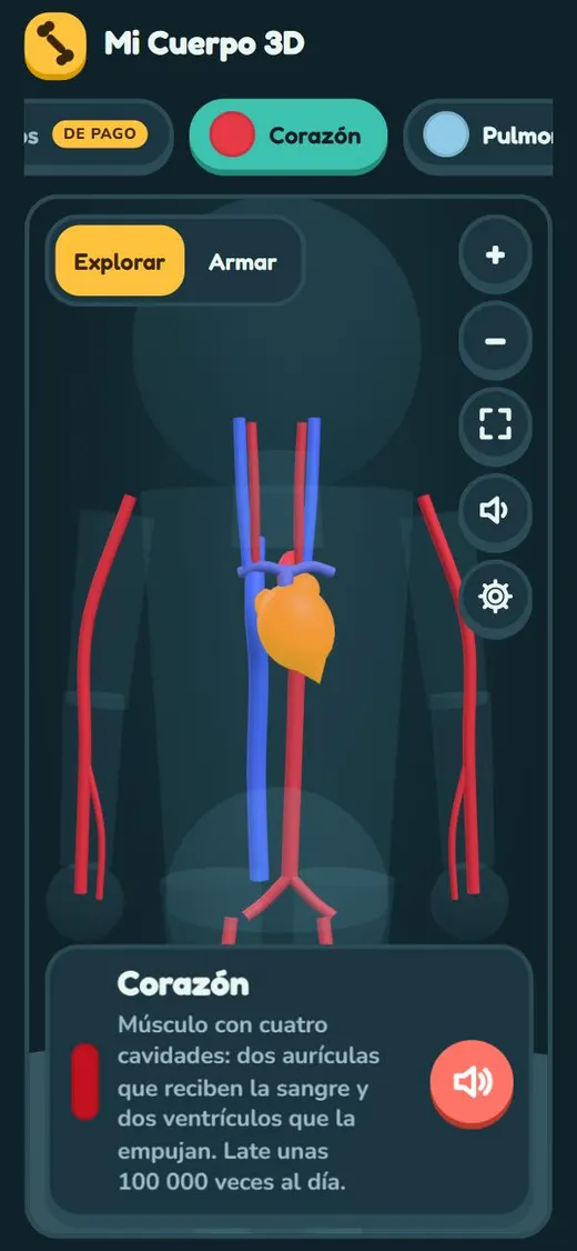 Ficha de una parte del cuerpo con su nombre y un dato